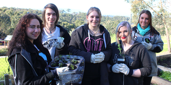 Image of VCAL students working in the YVCS Community Garden
