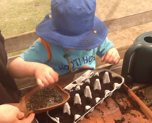 Image of a little girl planting seeds