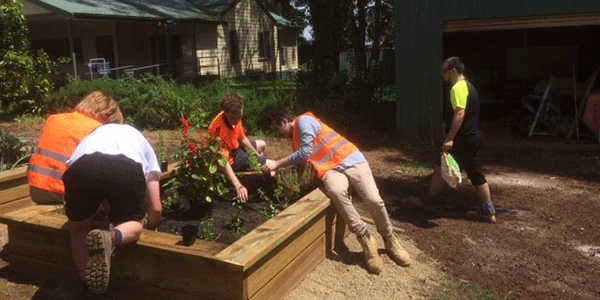 Applied Learning - Cire students working on Silvan Primary School's community garden