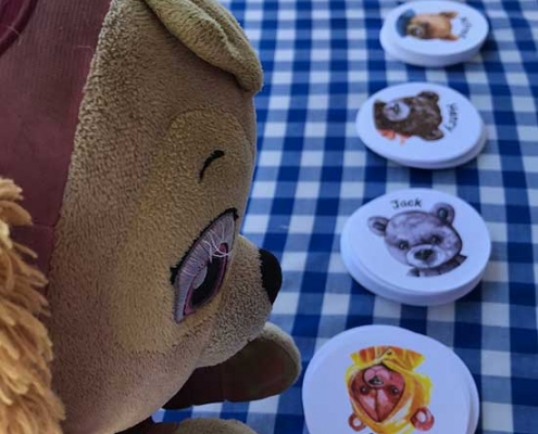 The Teddy Bears Picnic 2019