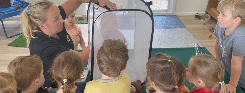 Children captivated by butterfly project