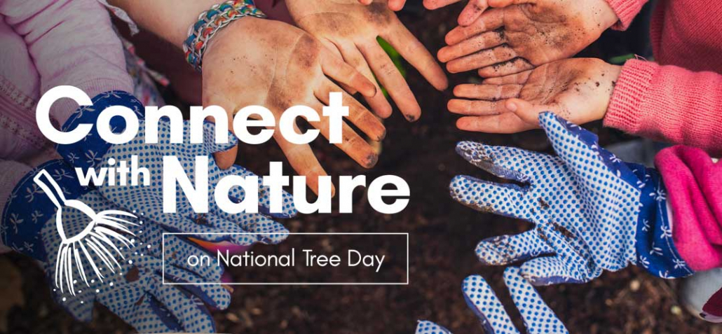 Digging Deep for National Tree Day Debut