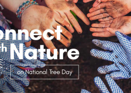 Digging Deep for National Tree Day Debut